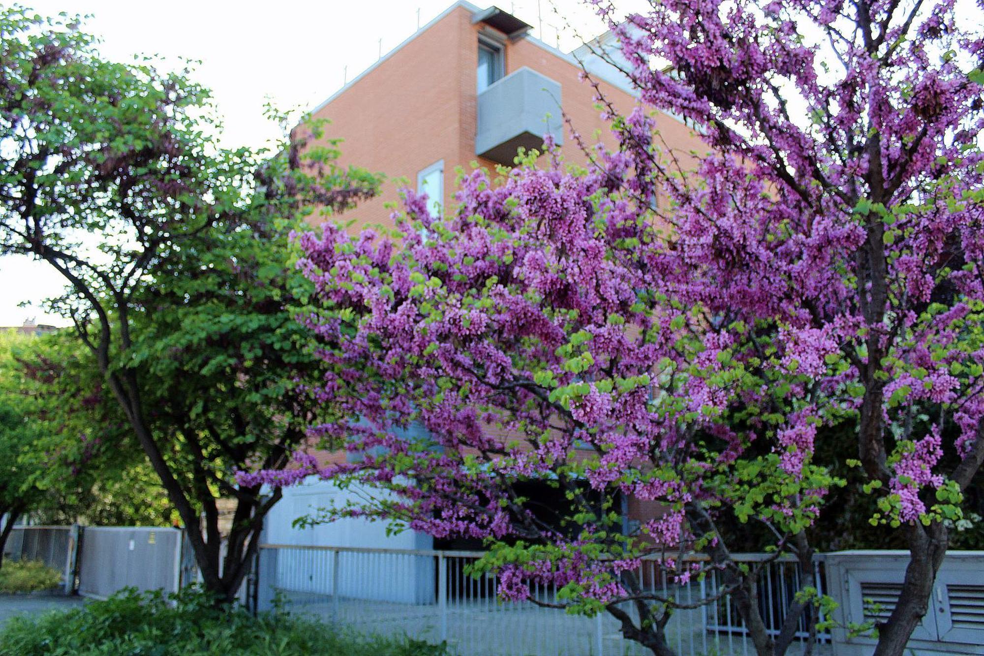 Apartamento Levante