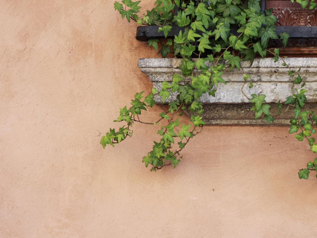 Bed and breakfast Casa Isolani Charms Santo Stefano 3*