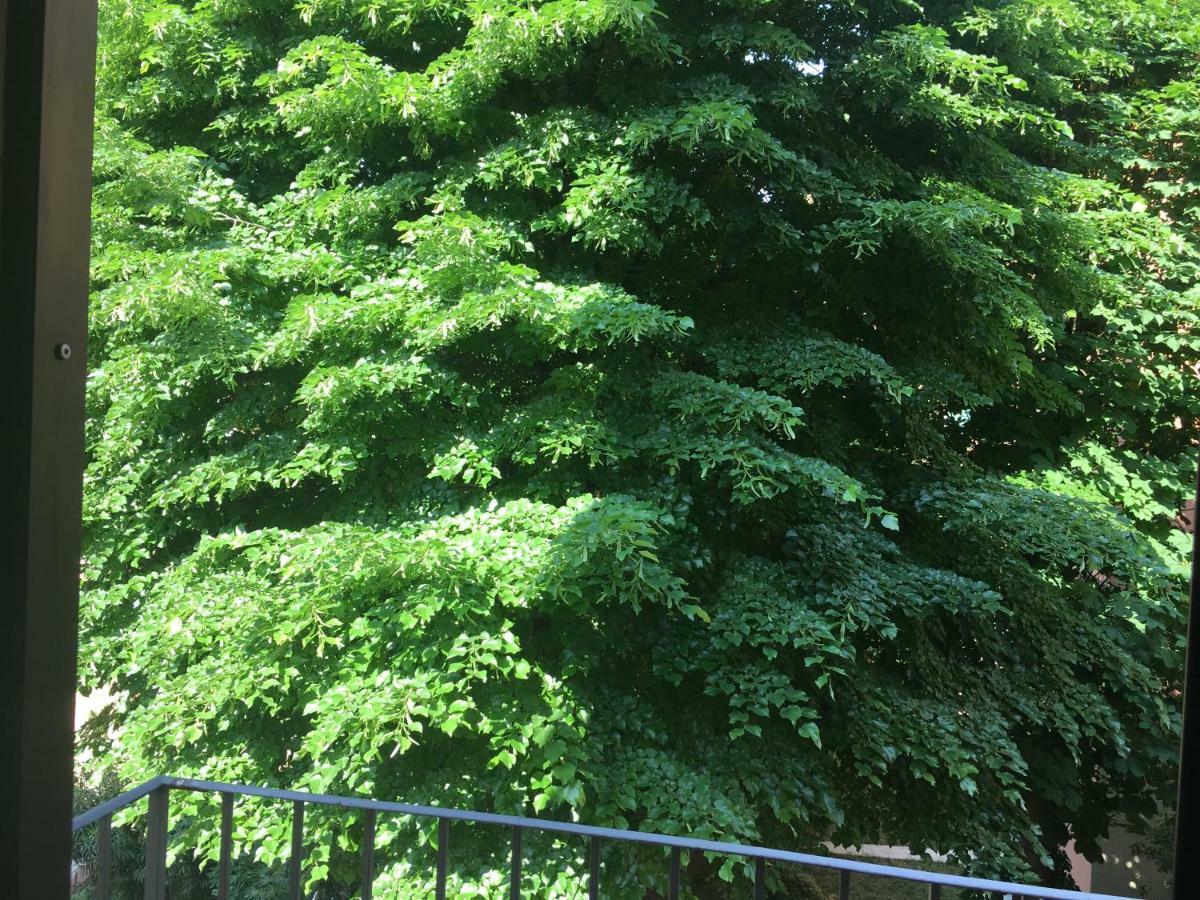 Appartement Corner Bologne