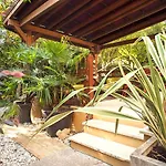 Urban Jungle