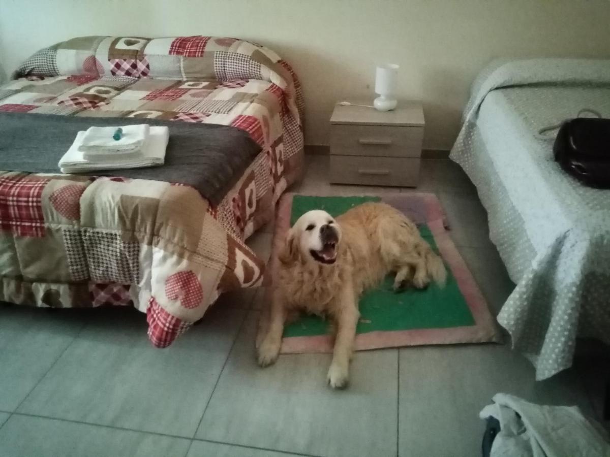 Affittacamere Noemi Livia Bed & Breakfast *