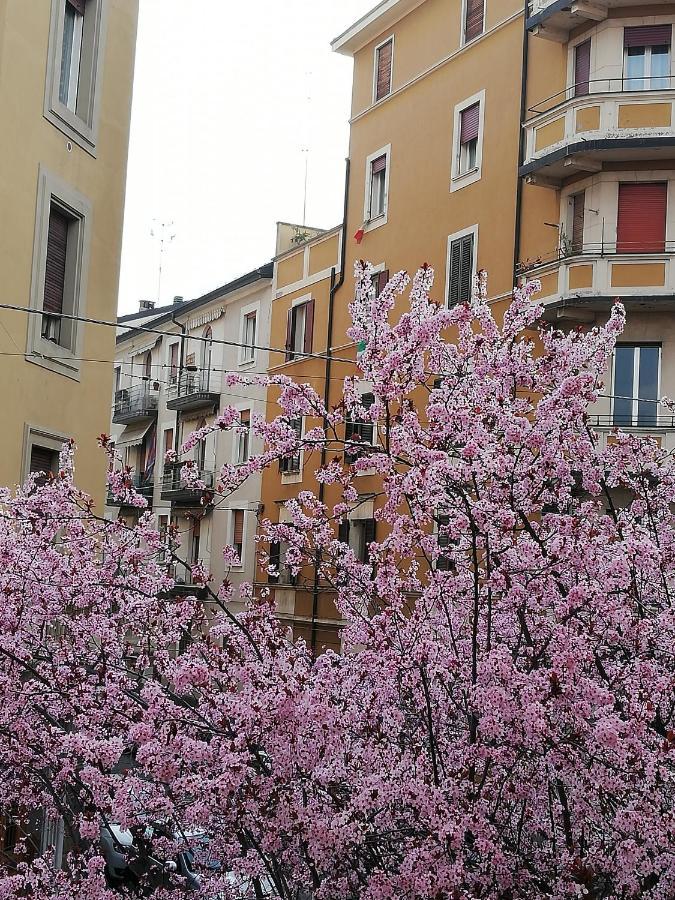 Apartamento Appartamento: Tranquillita O Divertimento