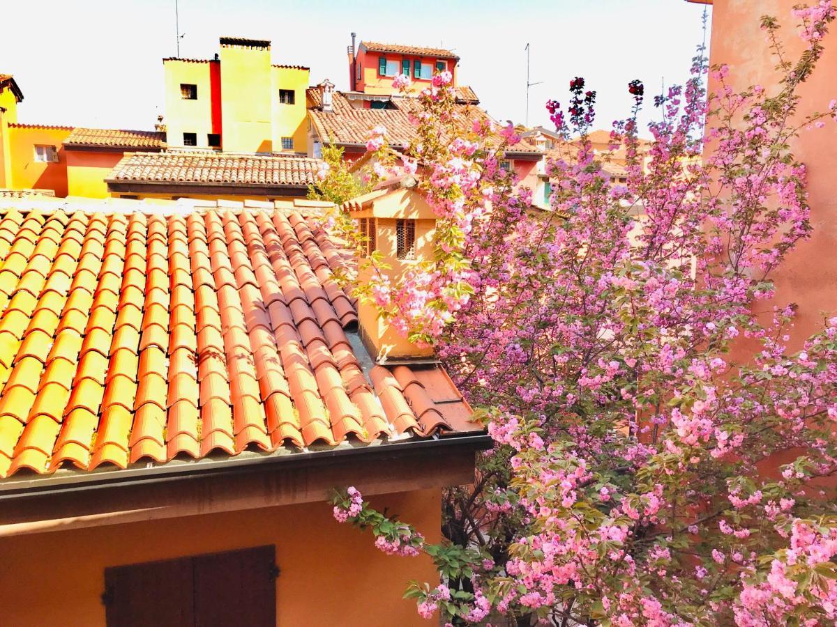 Falcone 22 Apartment *