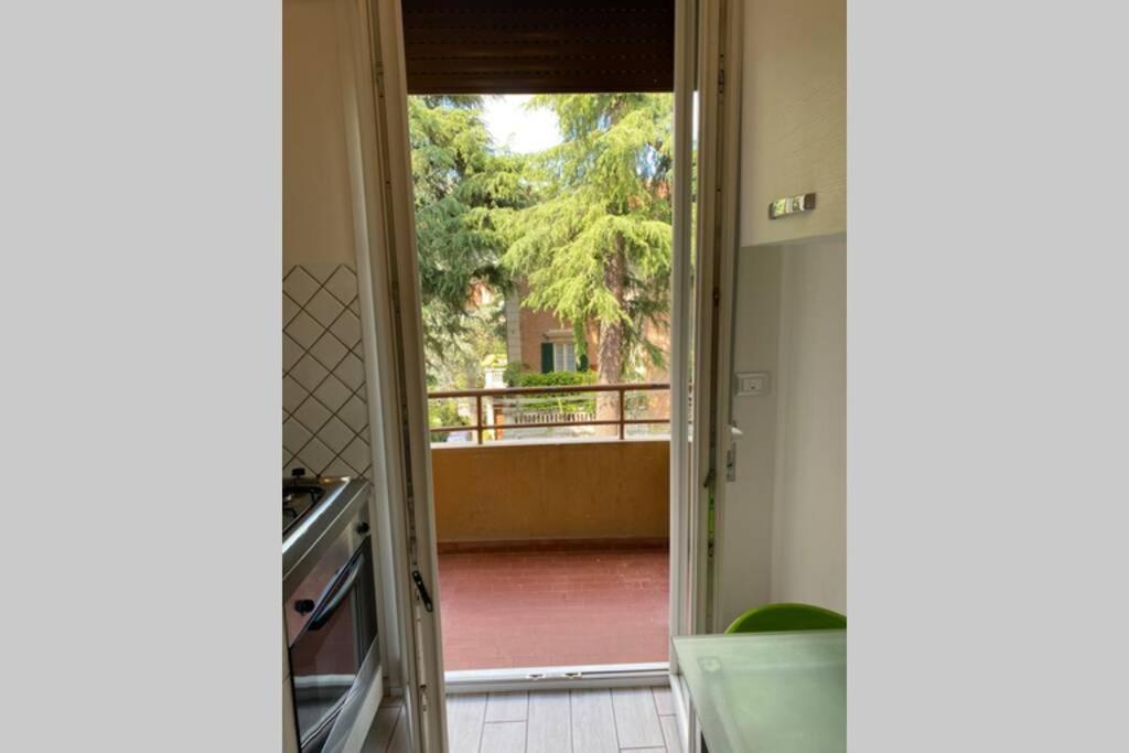 M.g A Un Passo Da Tutto Bologna