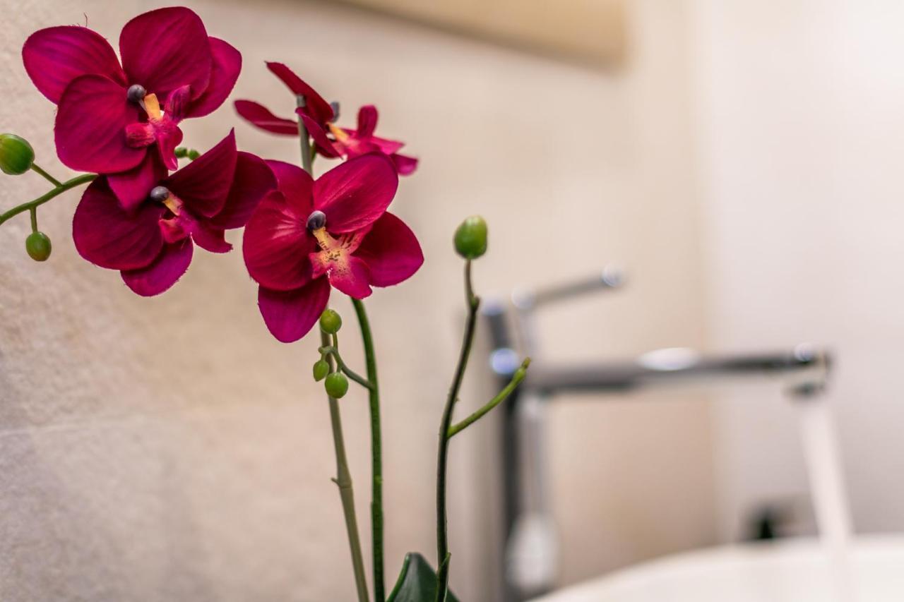 4 Star - Self Check-in Guest house Bologna