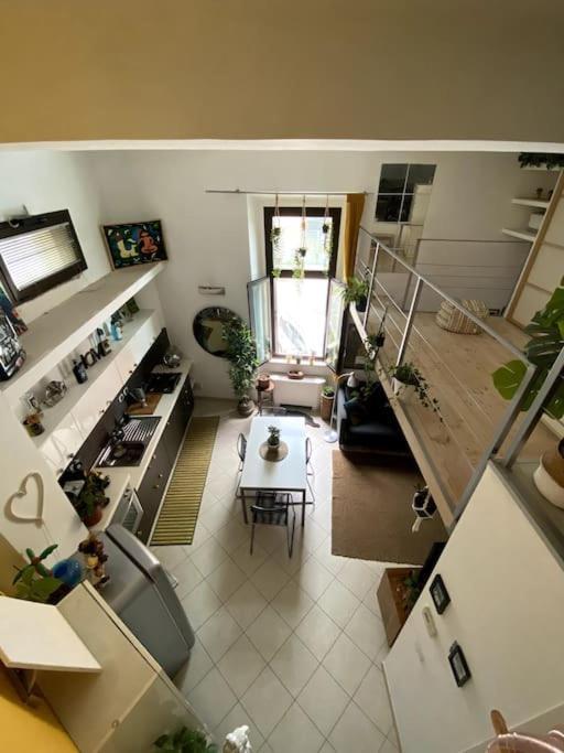 Apartamento Loft Intero Stile Jungle *