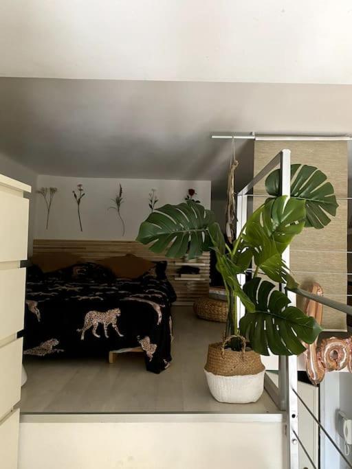 Loft Intero Stile Jungle Apartamento