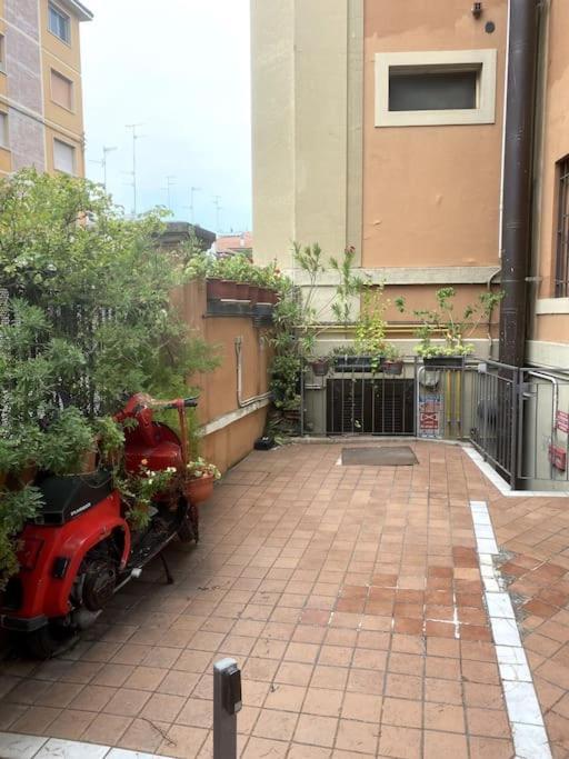 Apartamento Loft Intero Stile Jungle *