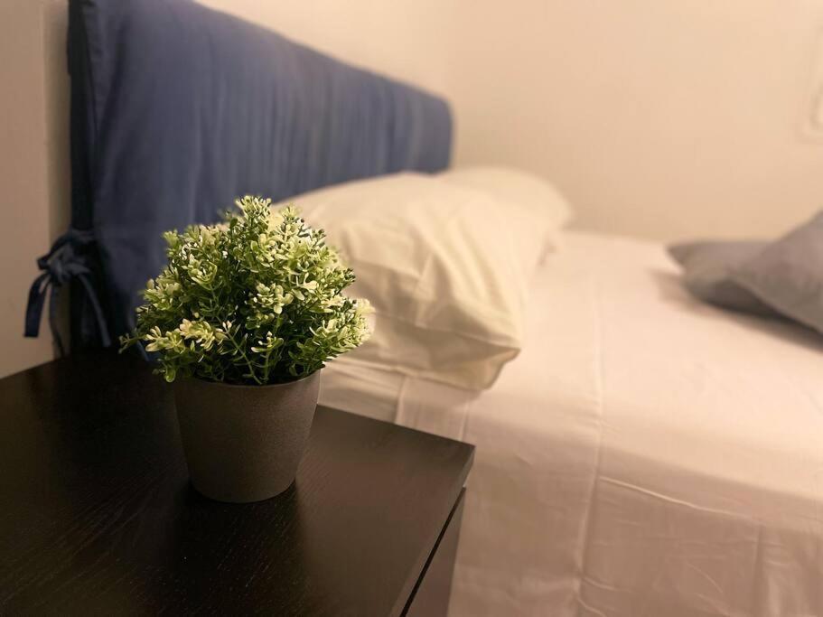 Loft - 1 Min Hospital S.orsola - Free Parking Appartement *