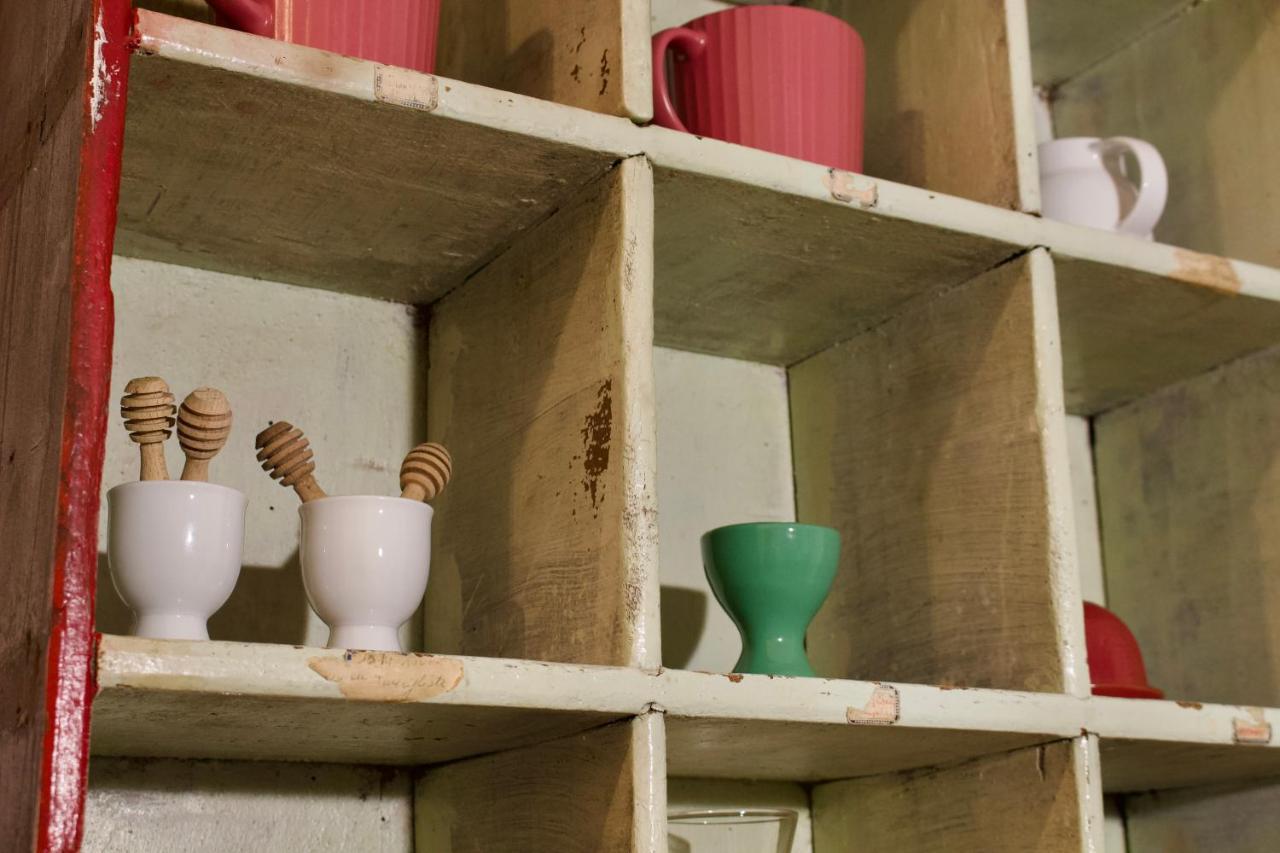 L'oasi Di Nello Apartamento *