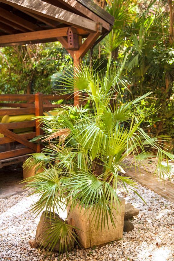 Apartamento Urban Jungle