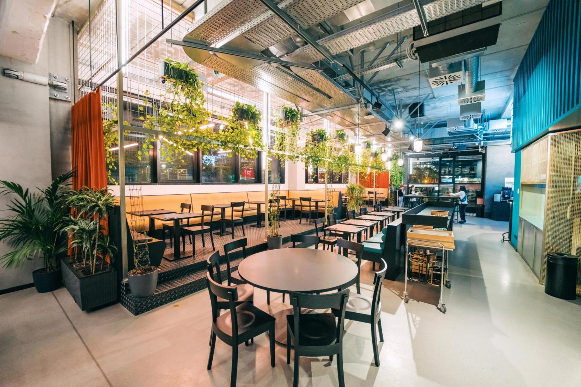 The Social Hub Hotel