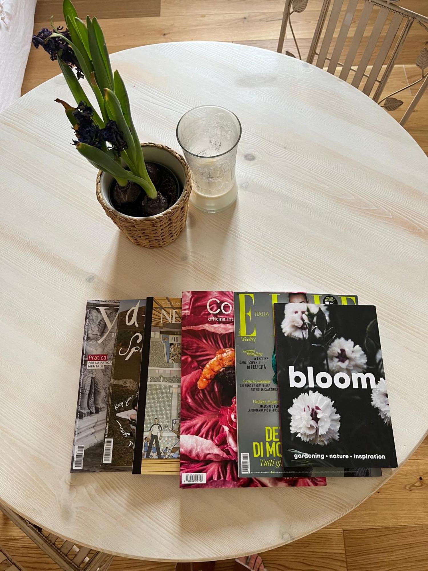 Bloom As Are Bolonha