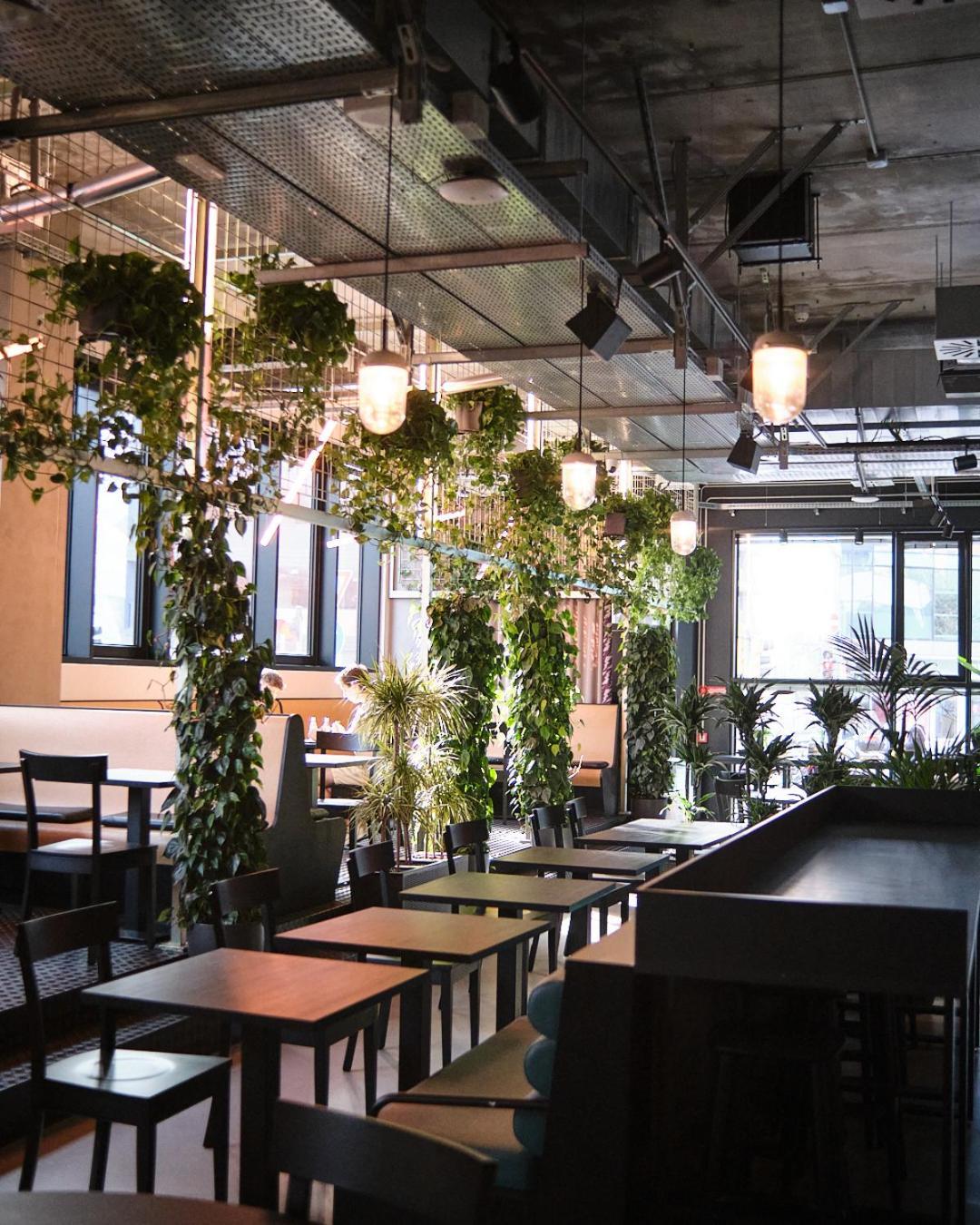 The Social Hub