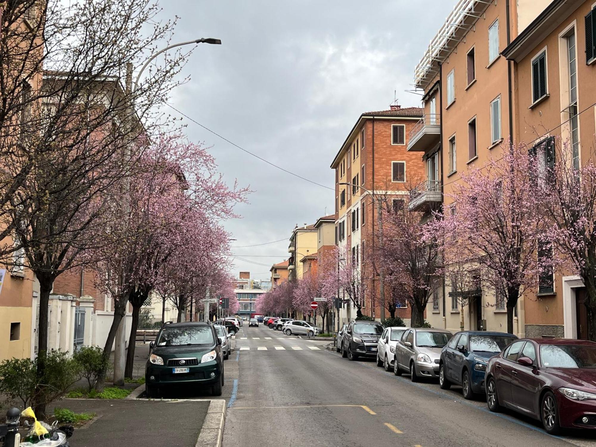 Apartamento Casa Meli, Ampio Bilocale Nuovo *