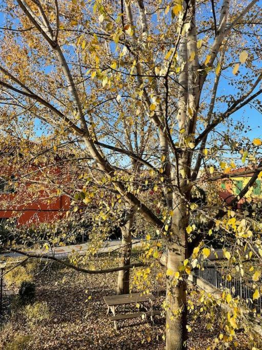 Tra Il Centro E La Campagna Bolognese Appartement Bologna