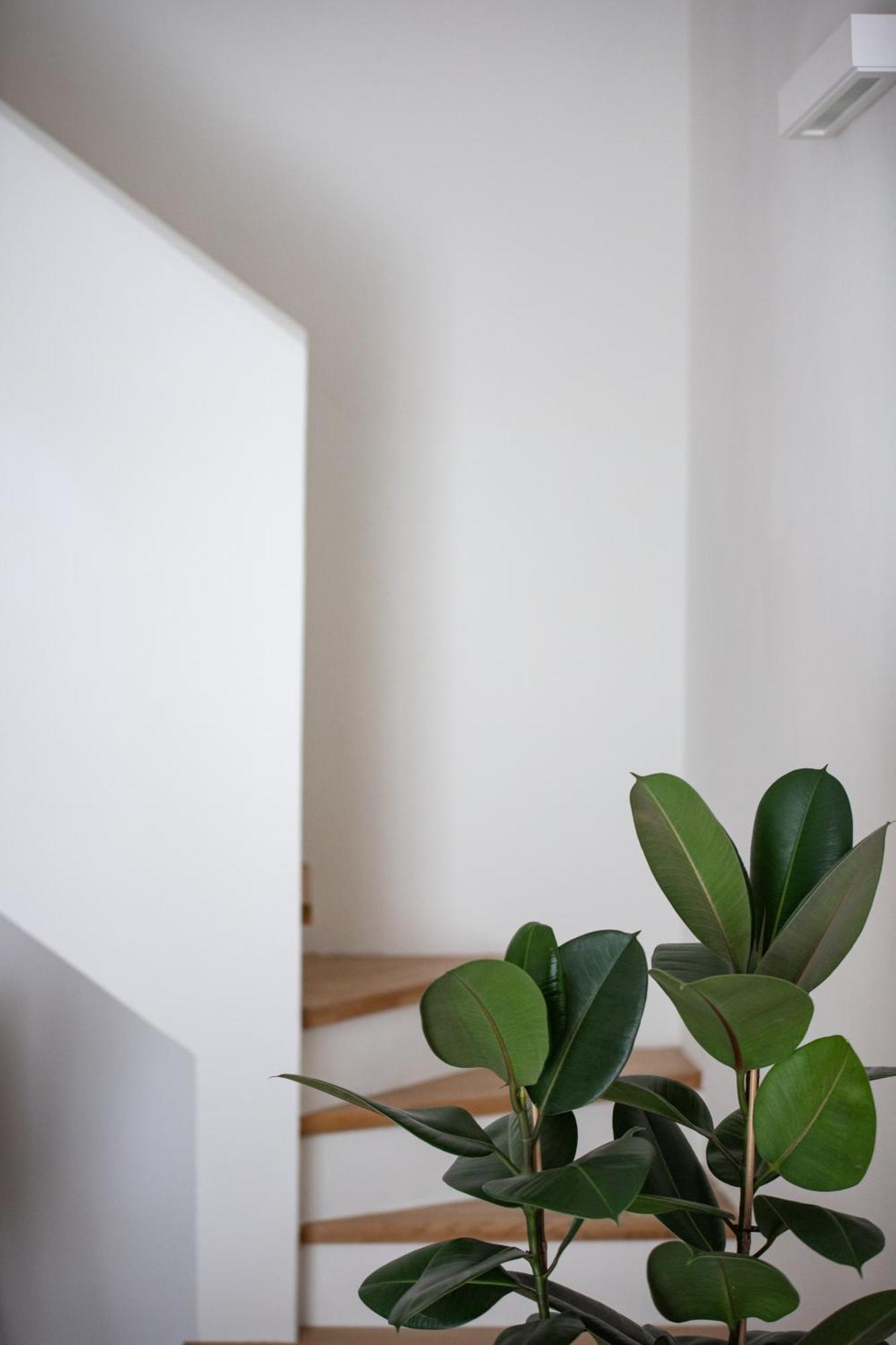 Aparthotel Santo Stefano Loft