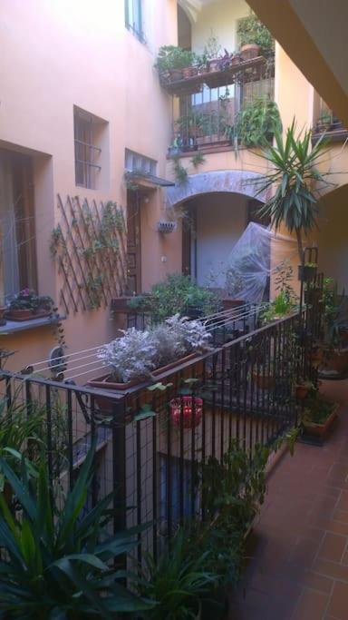 Lovely Nel Centro Storico Di Lejlighed Bologna