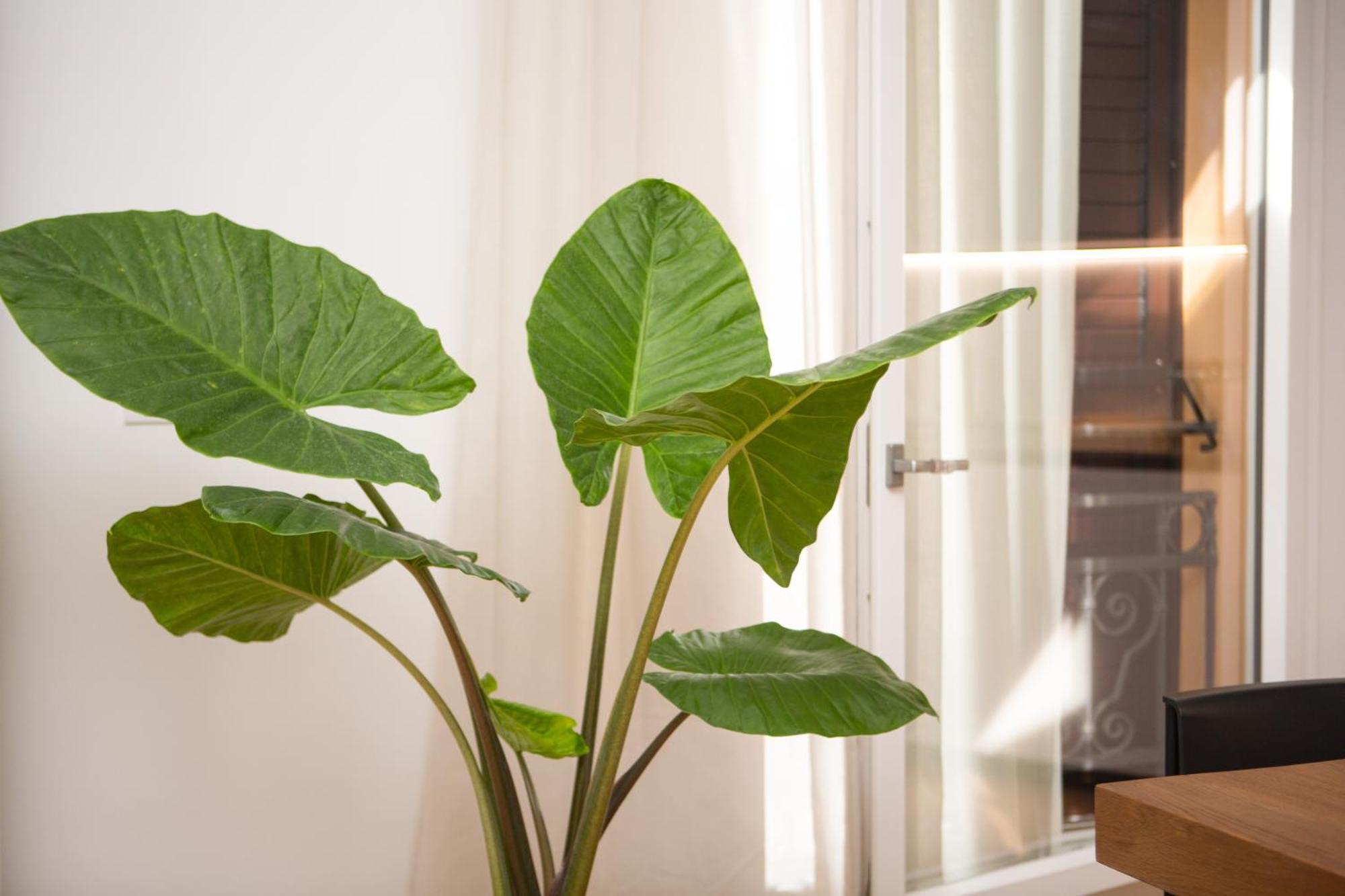 Enjoy - Luxury Experience In The Heart Of Appartement *