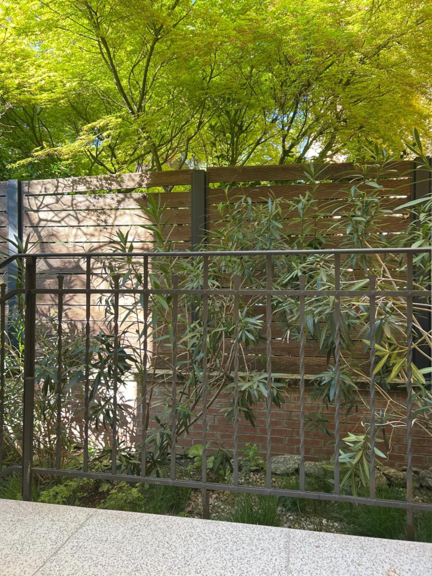 Apartamento Urban Jungle