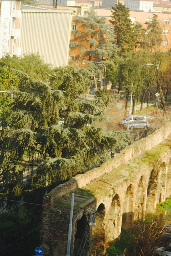 Stayinbologna 3 * Bolonia