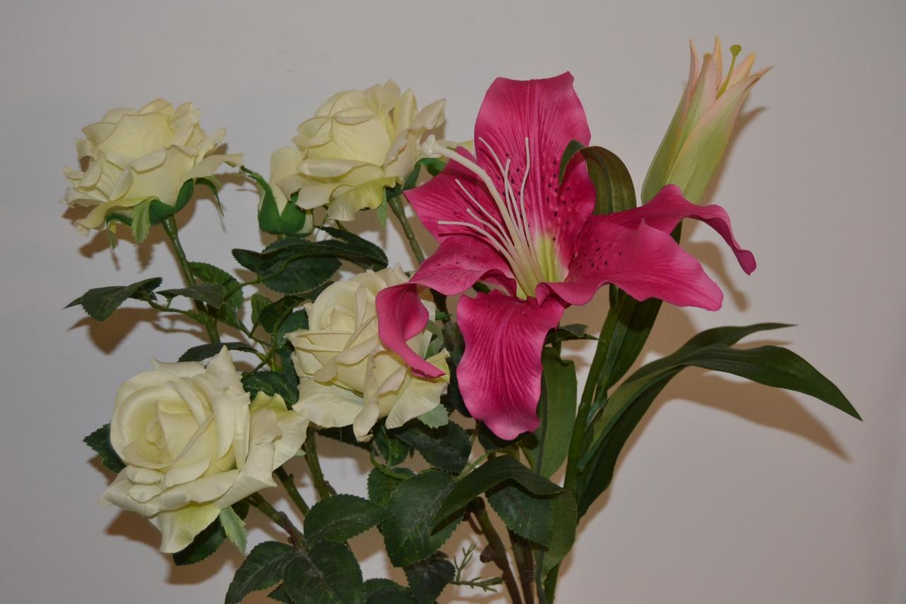 Central Avenue Bed & Breakfast Bologna