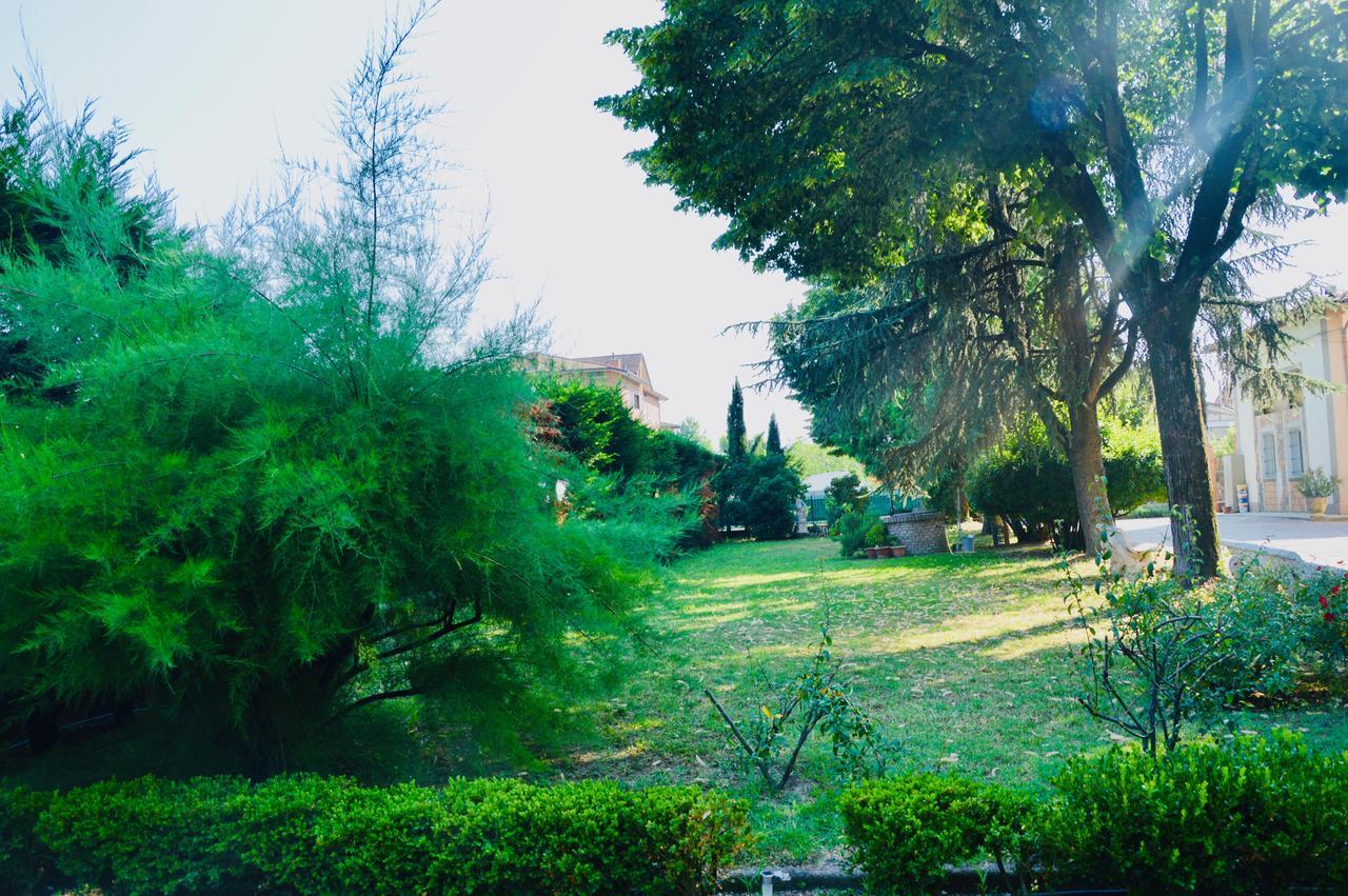 Griffoni Historic