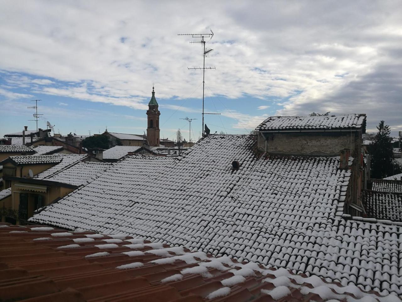 Remorsella * Bologna