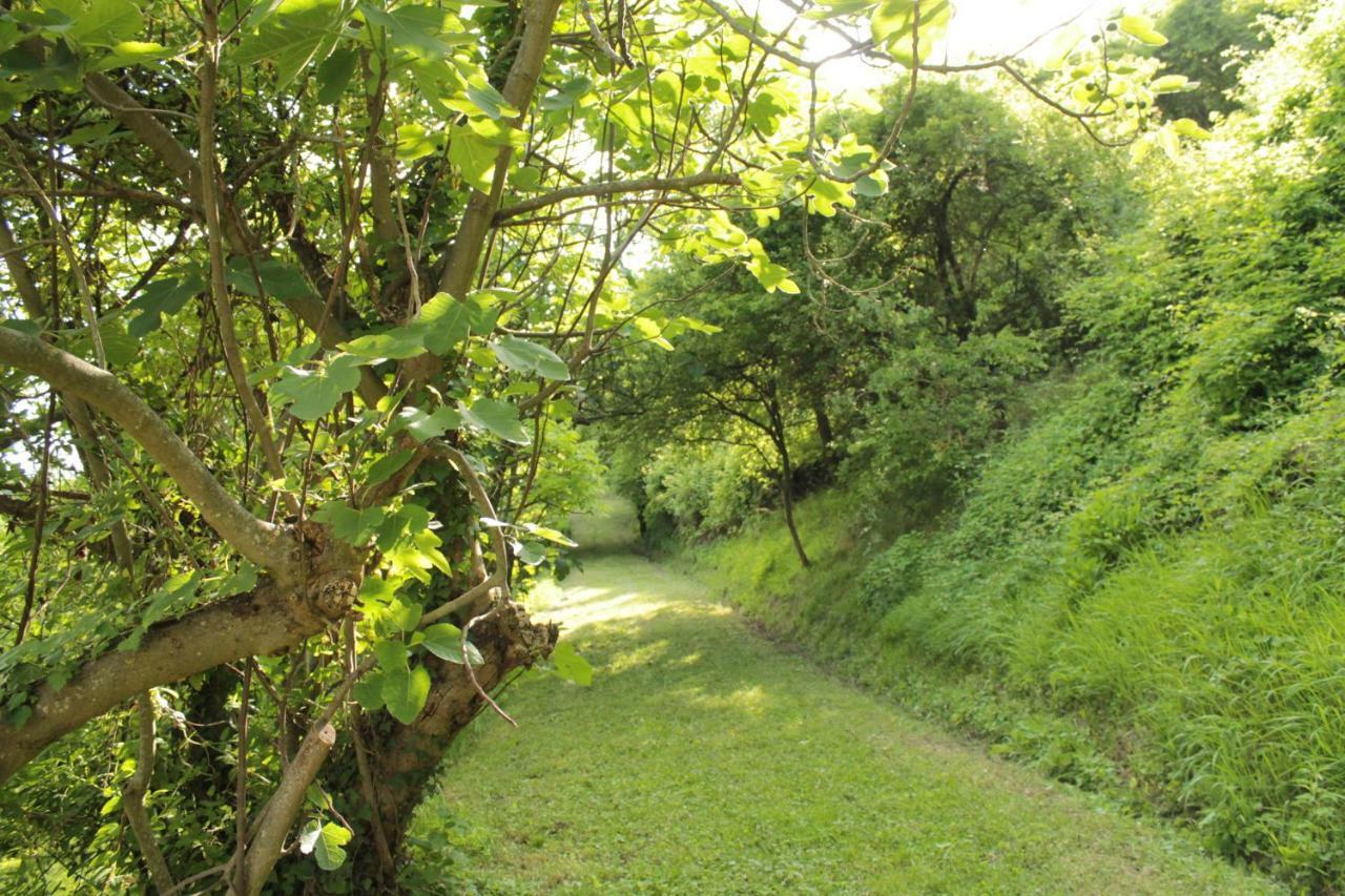 Boscobo - Relax & Natura Apartamento