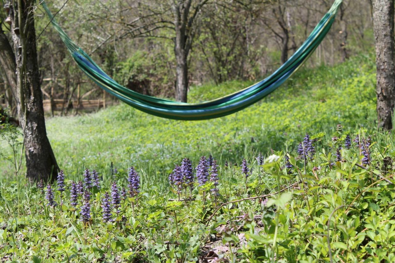 Boscobo - Relax & Natura Apartamento Bolonha